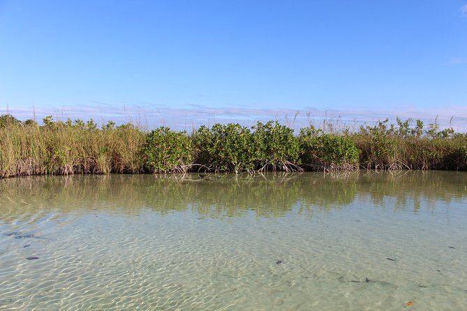 Private Sian Kaan Muyil Lazy River Tour - Boat Time, Water Color, and What to Expect