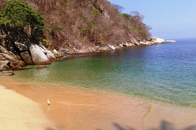 Private Snorkeling Adventure: Los Arcos & Colomitos Beach - Playa Colomitos: Beach Time With a Purpose