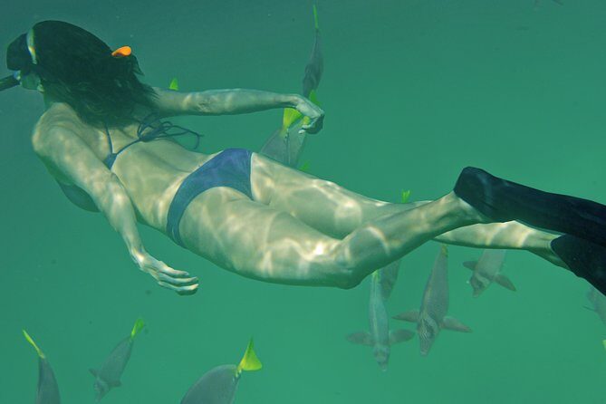 Private Snorkeling Tour in Cabo San Lucas - The Tour Experience on the Clock: What Your 4 Hours Actually Feel Like