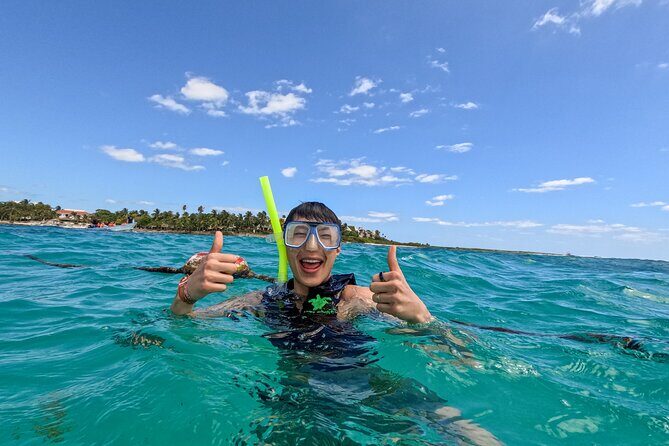 "Private snorkeling with turtles in Akumal + Photos included" - Sea Turtles, Rays, and Reef Life: What You Should Focus On