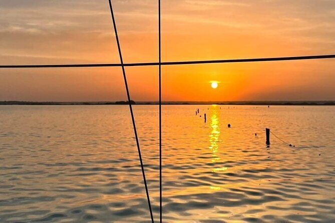 Private Sunrise Tour with Breakfast on Board - Bird Island sunrise: Bird Sanctuary waiting game (the good kind)