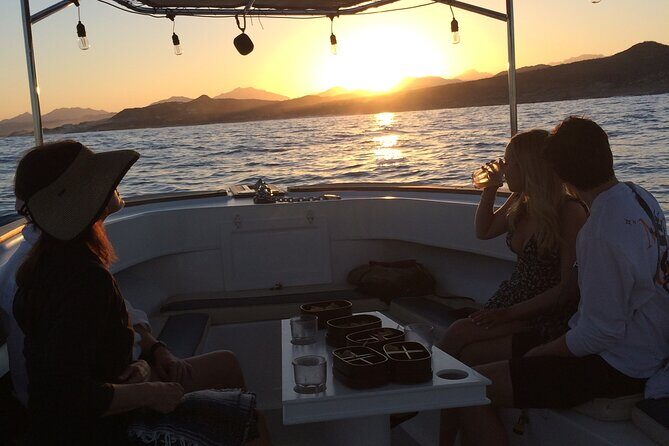 Private Sunset Boat Tour in San Jose del Cabo - Who Should Book This Private Sunset Boat Tour?