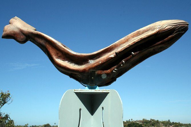 Private Tailor-Made Tour Todos Santos - Artisan Stops and Food Breaks: Craft Shopping, Coffee, and Tequila Choices