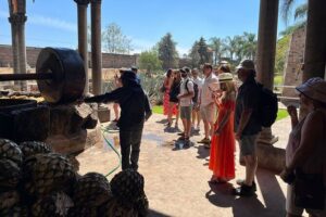 Private Tequila Tour with Local Expert - Price and value: what you’re paying for at $161.29 per person