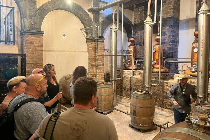 Private Tequila Tour with Local Expert - Stop 2: Jarritos La Puerta Del Agave for photos, views, and optional snacks