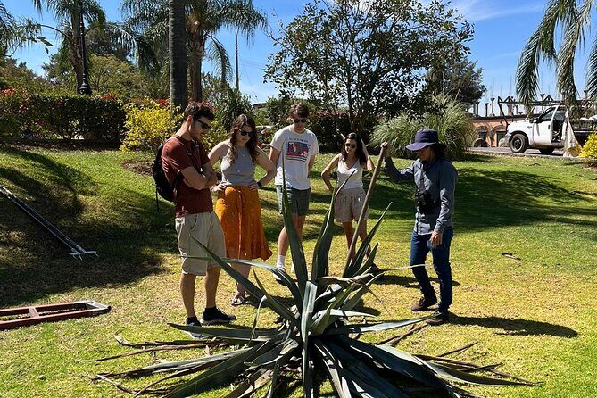 Private Tequila Tour with Local Expert - Stop 4: UNESCO-listed Tequila town center for real wandering and lunch