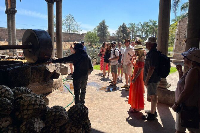 Private Tequila Tour with Local Expert - Price and value: what you’re paying for at $161.29 per person