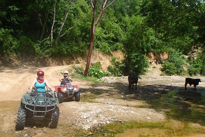 Private Tour: ATV SIERRA MADRE rivers with Tequila Tasting - Who This Tour Is For (And Who Should Skip It)