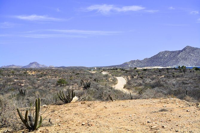 Private Tour Baja Jeep 4x4 Adventure at Los Cabos - Driving the automatic Jeep 4x4: rules, comfort, and real-world pace