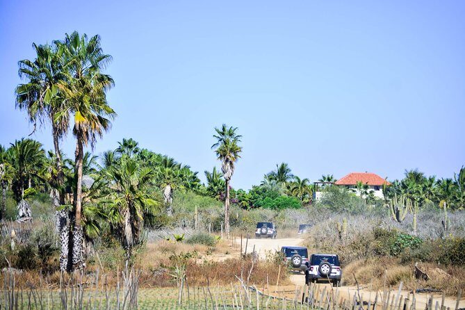 Private Tour Baja Jeep 4x4 Adventure at Los Cabos - Lunch at Los Agaves in Miraflores: solid Mexican food without the guesswork