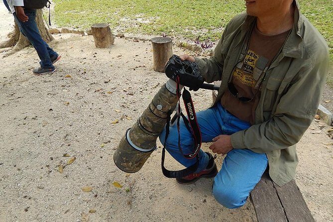 Private Tour: Birdwatching from Cancun - 5am hotel pickup to birding spots near Puerto Morelos