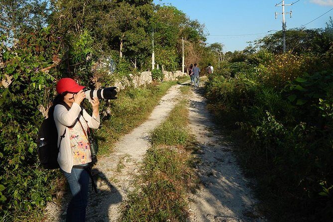 Private Tour: Birdwatching from Cancun - Species highlights: what you may spot beyond the usual photos