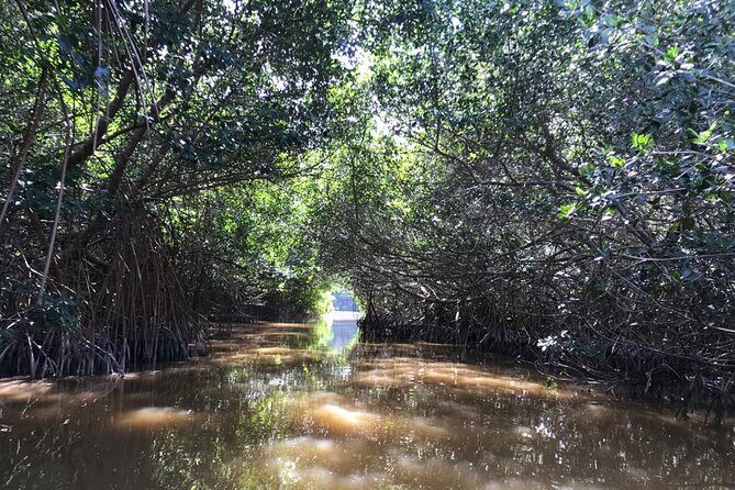 Private Tour Celestun Flamingo Watching and Beach - Stop 2: Playa Norte Celestún Beach Time and Yucatecan Food Options