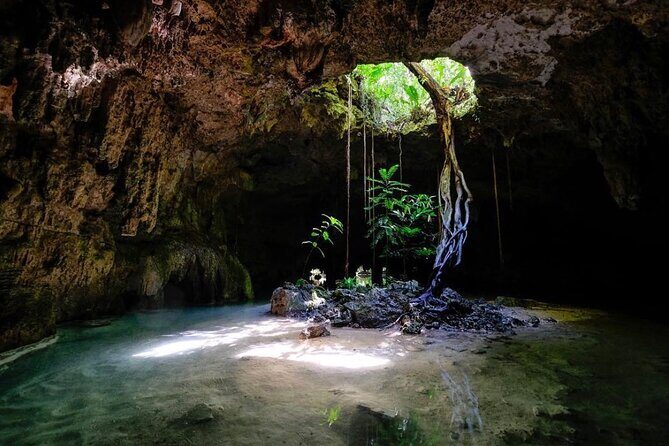 Private Tour Cenotes Sac Actun The Longest Underground River - Key Highlights You’ll Care About