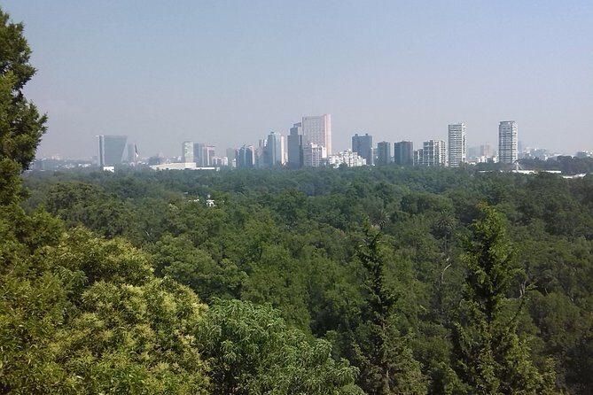 Private Tour Museum of Anthropology and Chapultepec Castle. - Price and logistics: what $259.99 really buys you