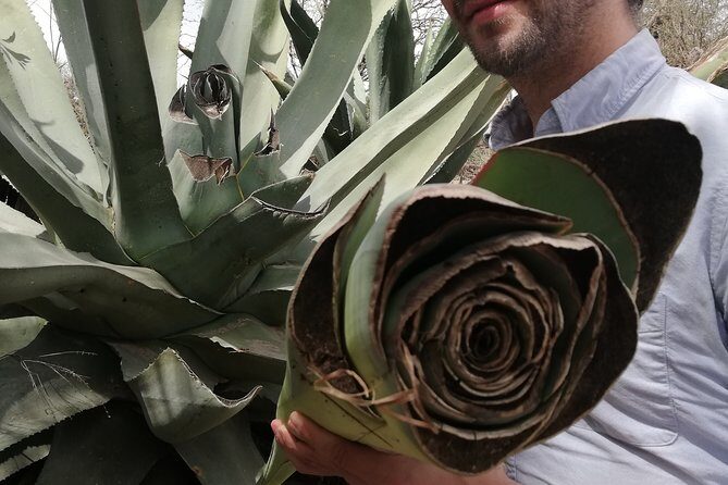 Private Tour of the Mezcal Route with Ancestral Drinks - Stop 3 in Mexquitic de Carmona: learning how to taste mezcal