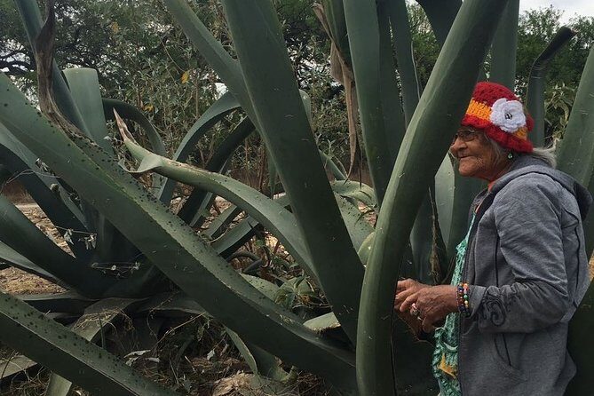 Private Tour of the Mezcal Route with Ancestral Drinks - The guide makes the difference: Miguel and the local relationships