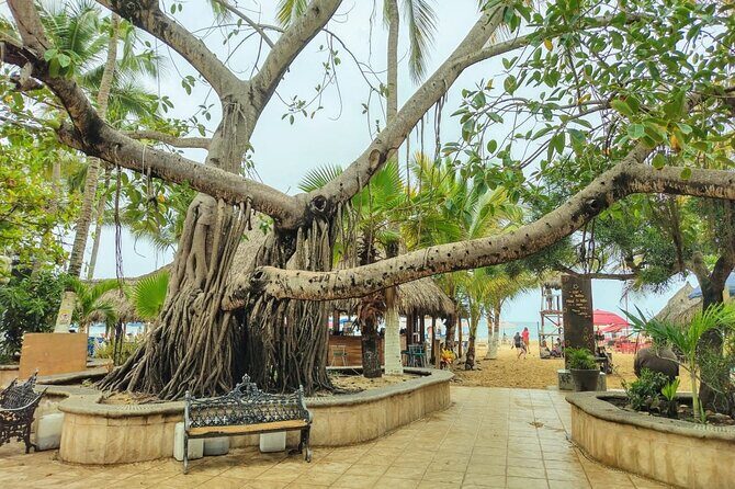 Private Tour, Sayulita & San Pancho - The value check: why this tour feels like a smart splurge