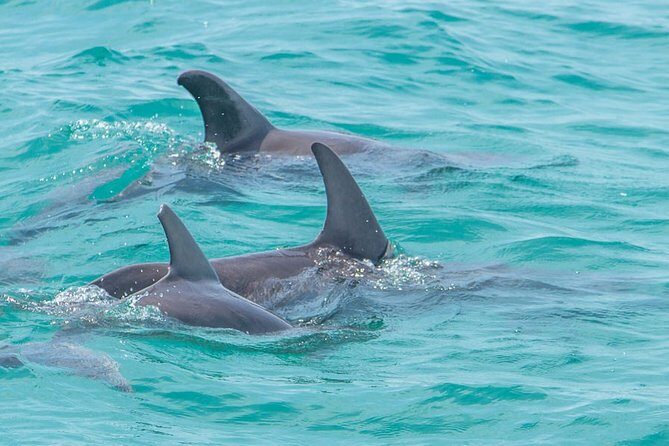 Private tour - Sian Ka´an Adventure - Food and comfort: fruits, snacks, and lunch on the water