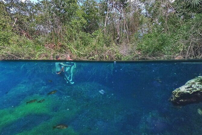 Private Tour The Best Cenotes in Tulum Riviera Maya - Price and logistics: how $199 per person feels in the real world