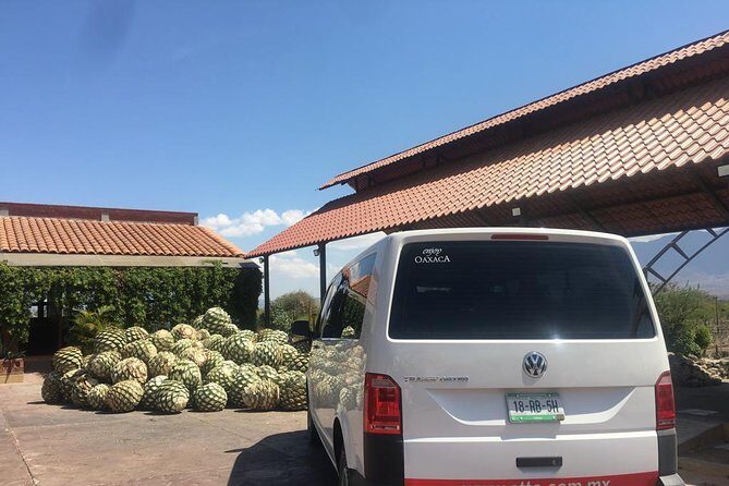 Private Tour to Hierve el Agua, Mezcal Tasting, and Textiles - Teotitlán del Valle textiles: seeing the wool-to-rug workflow