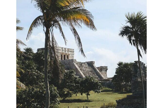 Private Tour to Tulum, Cenote and Swimming with Turtles - Entering Tulum at 9:00 am without the crush