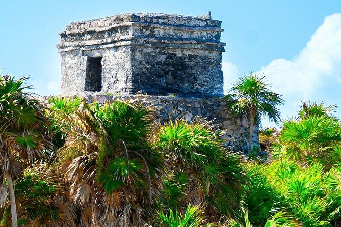 Private Tour to Tulum, Cenote and Swimming with Turtles - Price and what $410 really covers