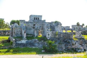 Private Tour to Tulum Ruins, Swim with turtles and Cenote Cave - Cenote Nohoch cave swim: where the jungle turns into water
