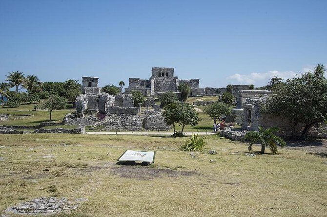 Private tour: Tulum Ruins & Jungle Adventure with Cenote - The guide and driver team: how the private format feels