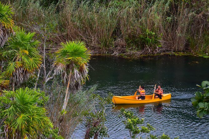 Private tour: Tulum Ruins & Jungle Adventure with Cenote - What you pay for: admissions, tacos, and bottled water value