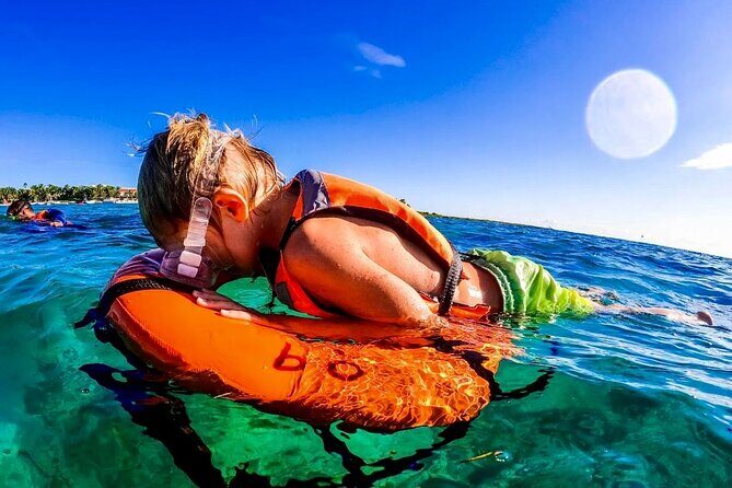 Private Tour Turtles Coral Reef Cenote Beach All inclusive - How the Tulum pickup sets the tone for a calmer day