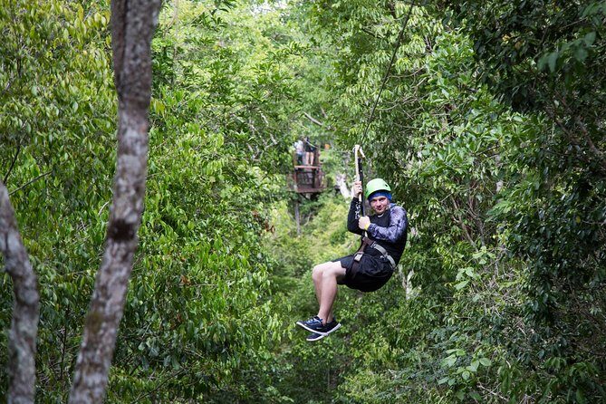 Private Tour with 3 Cenotes + 5 Zip-lines + Mayan Lunch - Zip-lines, rope swings, and platform jumps through the gum trees