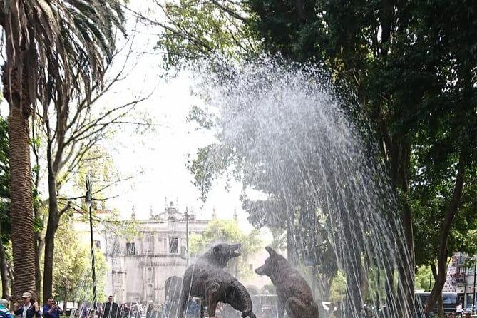 Private Tour: Xochimilco, Coyoacan and Frida Kahlo Museum - How Your Guide and Driver Shape the Day