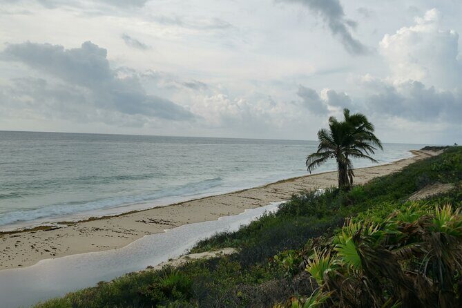Private Transfer-Cancun Airport-Playa del Carmen One Way - Should you book this one-way transfer?