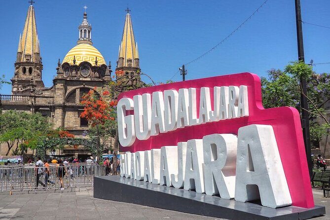 Private Transfer Guadalajara Airport GDL to Guadalajara City - Your driver setup: contact details and the meeting point timing