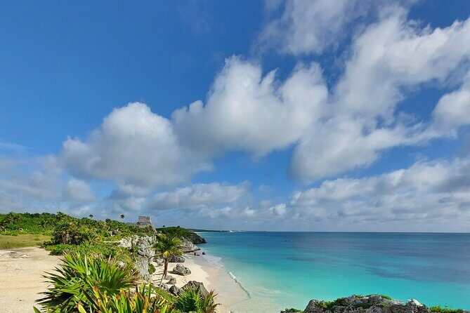 Private Tulum & Cenotes tour - Casa Cenote snorkeling: the part most people remember