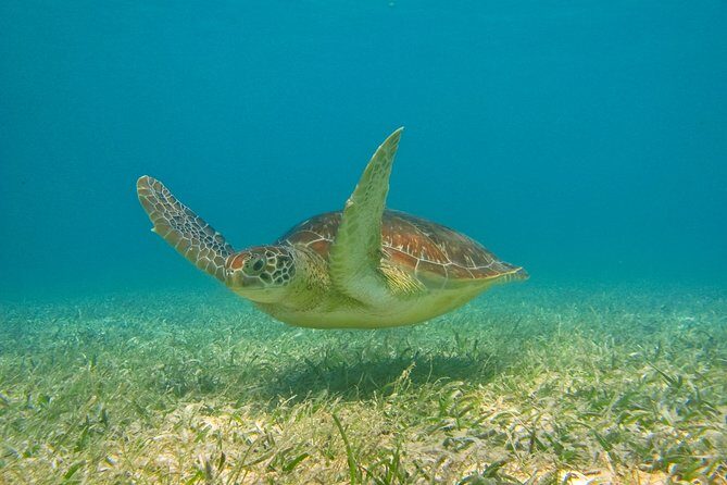 Private Tulum Ruins & Akumal Turtle Adventure - Entering Tulum’s Ruins With a View of the Caribbean