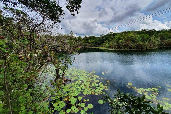 Private - Tulum Ruins and 3 Cenotes Jungle Adventure - Mayan lunch that actually feels like a meal