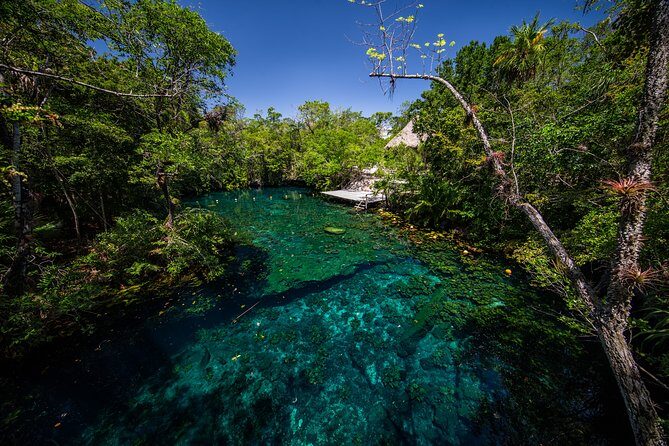 Private - Tulum Ruins and 3 Cenotes Jungle Adventure - Private transportation in Tulum: less stress, more time enjoying