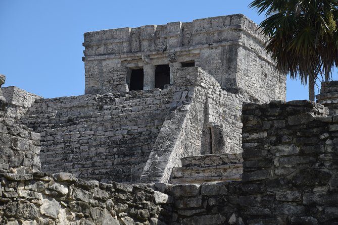 Private Tulum Ruins, Reef Snorkel & Cenote Adventure - Jaguar Cenote and Another Cenote Swim: What You’ll See in Limestone Water