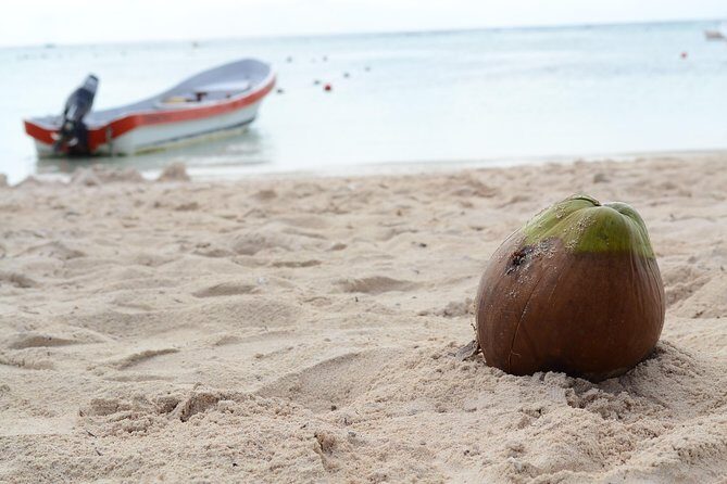 Private Turtle Snorkel Adventure in Akumal - What happens after the swim: shower time and a comfortable return