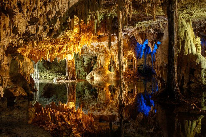 Private Turtles & Cenotes Adventure - Price and the real cost picture: $310 plus the $20 fee