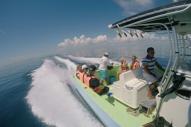 Private Whale Shark All Inclusive Experience - The Whale Shark Swim: How the Crew Runs It (and Why the Rules Matter)