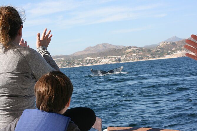 Private Whale Watching in San José del Cabo - What actually happens once you meet at Salty Cabo