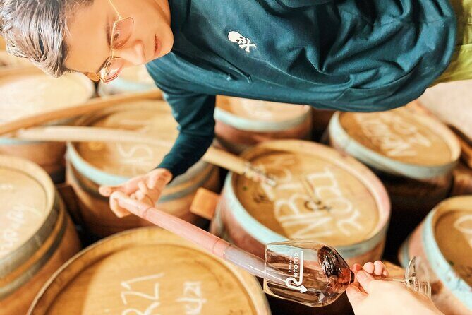 Private Wine Tour at Valle de Guadalupe (A wine tasting included). - Key things that make this tour worth your time