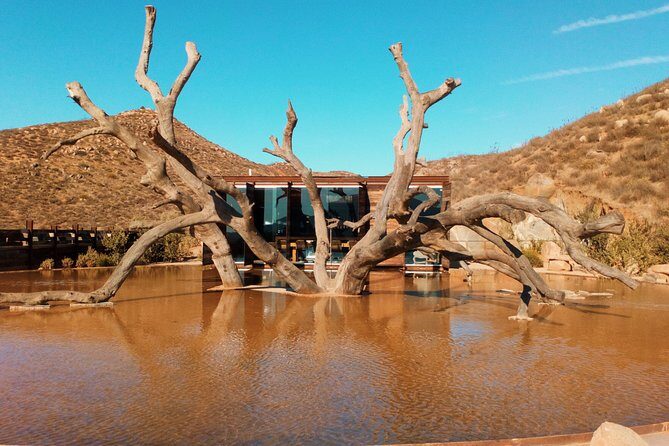Private Wine Tour at Valle de Guadalupe (A wine tasting included). - Price and logistics: what $118.89 really buys