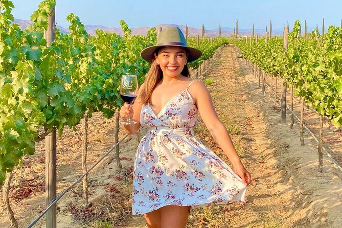 Private Wine Tour at Valle de Guadalupe (A wine tasting included). - Tres Valles: your included boutique tasting start