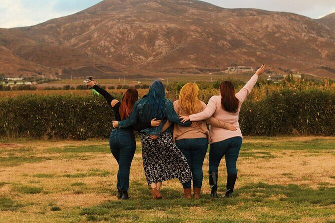 Private Wine Tour at Valle de Guadalupe (A wine tasting included). - The lunch break: food trucks, restaurants, and keeping it relaxed