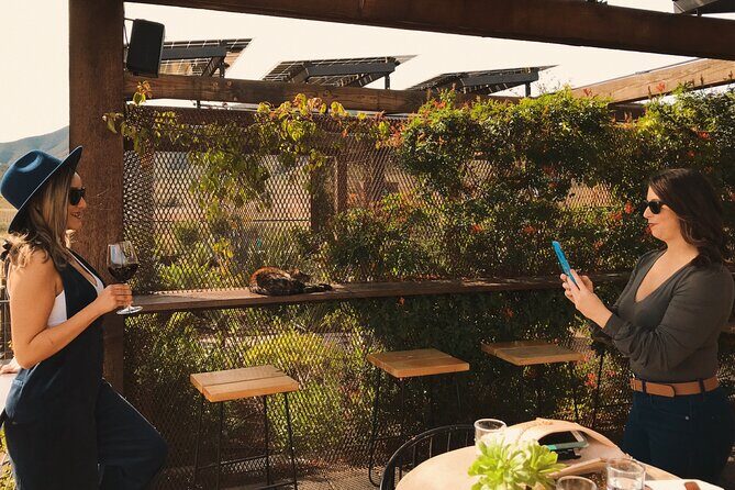 Private Wine Tour at Valle de Guadalupe (A wine tasting included). - Getting around the Valley with pickup (and a real schedule)