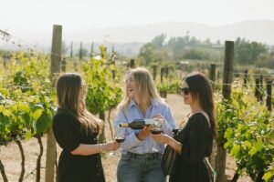 Private Wine Tour by Ansell Tours - The Stop-by-Stop Plan: What Each Winery Adds